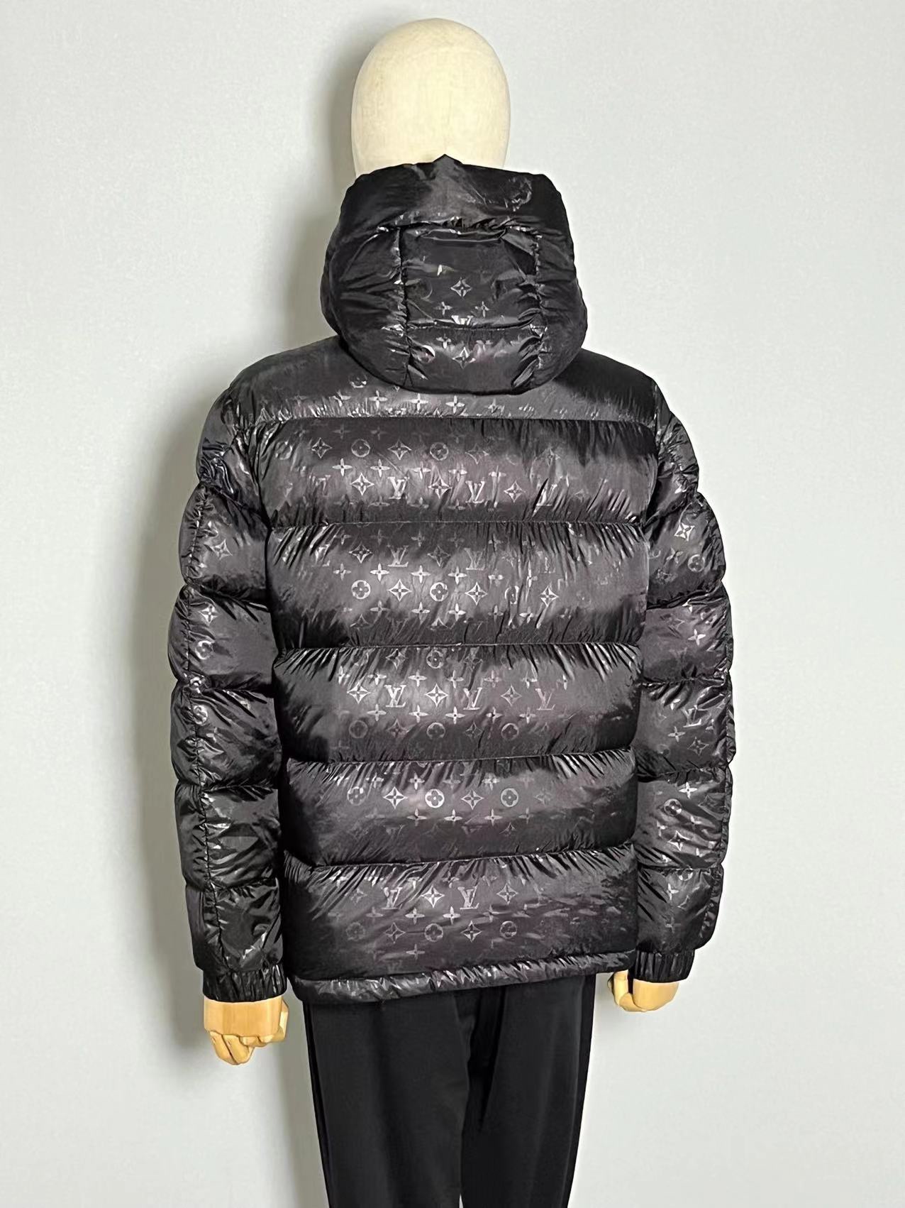 Louis Vuitton Down Jackets